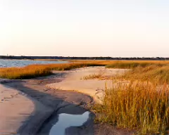 assateague